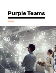 Presentation Title Card — Purple Teams ROI